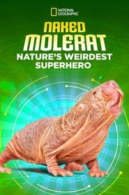 Poster Naked Molerat: Nature’s Weirdest Superhero 2018