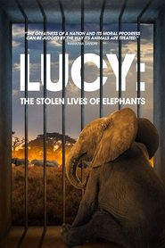 Lucy: The Stolen Lives of Elephants (2025) Lucy: The Stolen Lives of Elephants (2025)