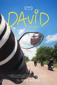 David (For Now) (2024)