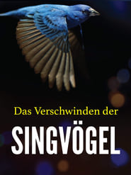 Poster Das Verschwinden der Singvögel