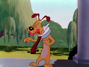 Dog Gone South