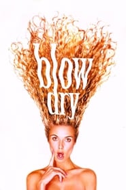 Poster Blow Dry 2001