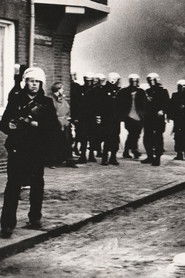 Where the Rats Are King