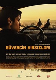 Poster Güvercin Hırsızları