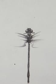 Dragonfly streaming
