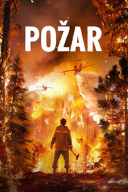 Пожар (2020)