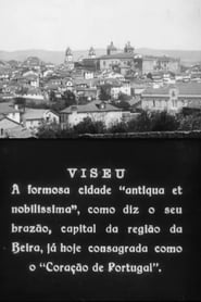 Poster Viseu 1930