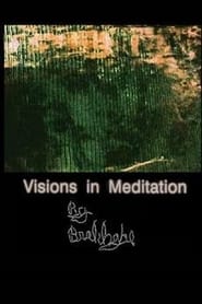 Visions in Meditation