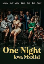 Poster One Night Kwa Mxolisi