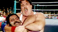 WWF Championship Wrestling - Dec. 06, 1980