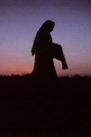 Poster Women in the Shadows 1991
