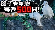 Episode 46
