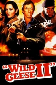 Wild Geese II постер