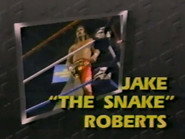 September 19, 1987 - Superstars of Wrestling 55