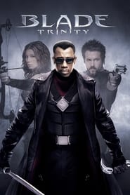 Blade Trinity 2004 Movie BluRay Dual Audio Hindi English 480p 720p 1080p