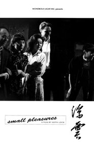 Poster Small Pleasures 1993