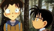 Episode 228