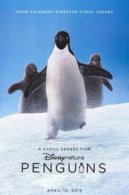 Penguins (2019) Online Cały Film CDA Zalukaj