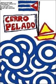 Poster Cerro Pelado