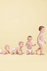 Babies poster