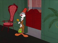 Barbary-Coast Bunny