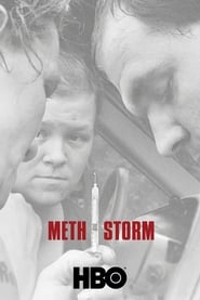 ดูหนัง Meth Storm (2017) [ซับไทย]