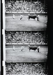 Poster Corrida 1929