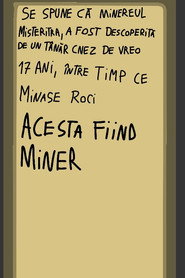 Random robotul din România постер