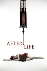 Después de la Vida Película Completa HD 1080p [MEGA] [LATINO] 2009