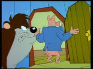 I'm OK, You're Taz