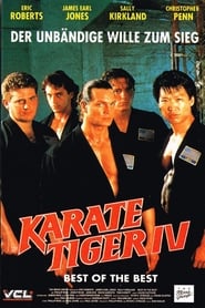 Best of the Best - Karate Tiger 4 1989 Stream German HD