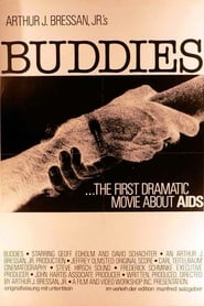 Buddies постер