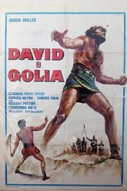 Poster David und Goliath