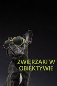 Zwierzaki w obiektywie