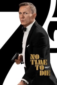 Poster for the movie, 'No Time to Die'