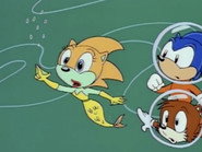 The Little Merhog