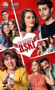 Meleklerin Aşkı poster