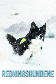 Poster Redningshundene - Season 1 2022