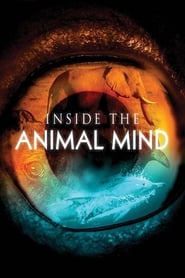 Inside the Animal Mind poster