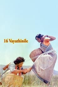 16 Vayathinile постер