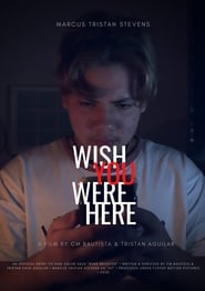 Wish You Were Here streaming
