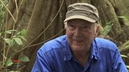 Botanist Francis Hallé Explains... 2013 وړیا لا محدود لاسرسی
