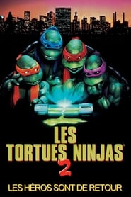 Les Tortues Ninja 2 : Les héros sont de retour en streaming 