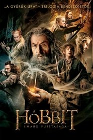 A hobbit: Smaug pusztasága poszter