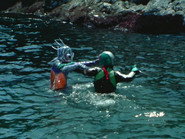 Suspicious Merman Amazonia