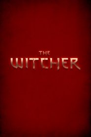 The Witcher The Witcher