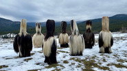 Bulgarian Kukeri