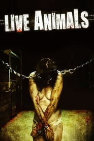 Poster Live Animals