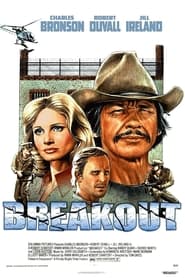 Breakout постер