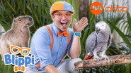 Blippi's Big and Small Animal Adventure